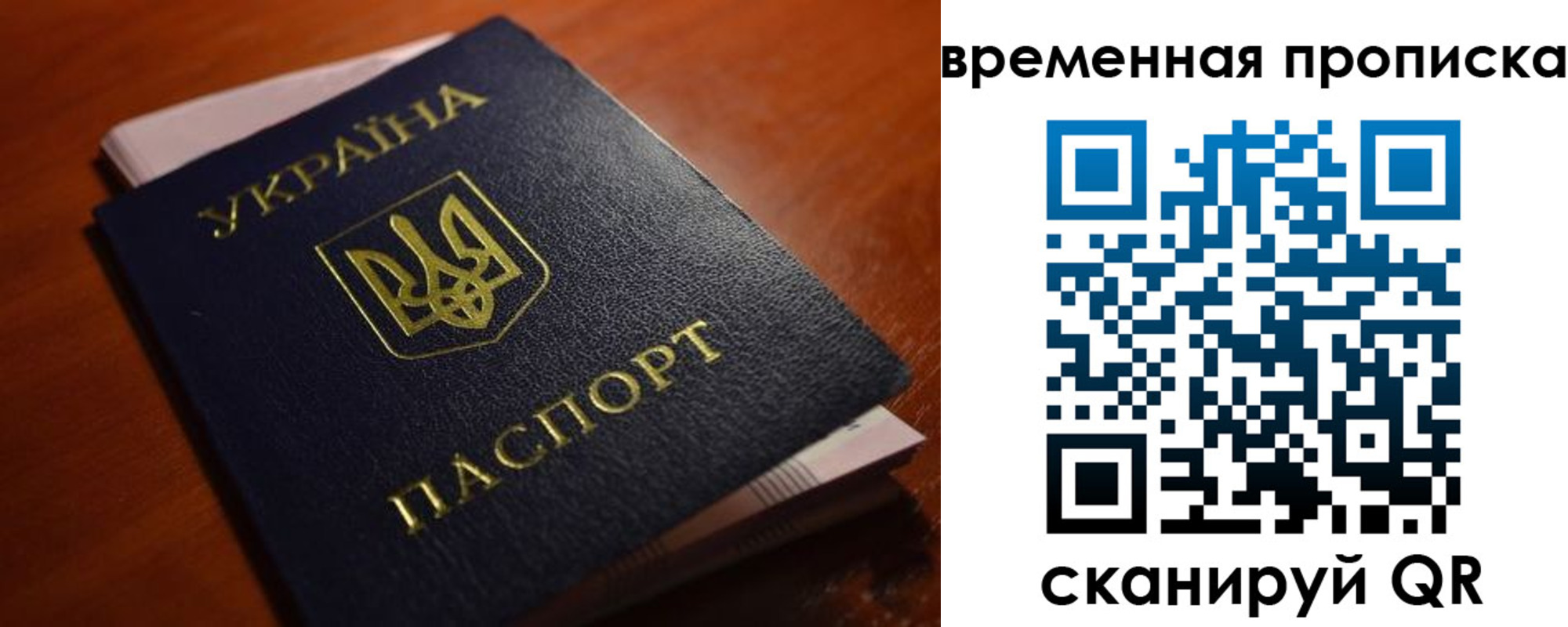 прописка гарантия в Выборге
